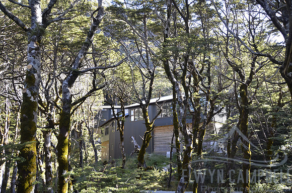 Routeburn Falls Hut