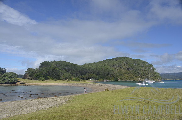 Roberton Island