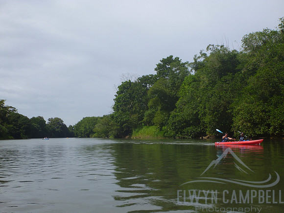 Kayaking