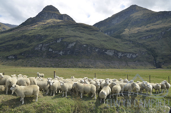 Matukituki Valley