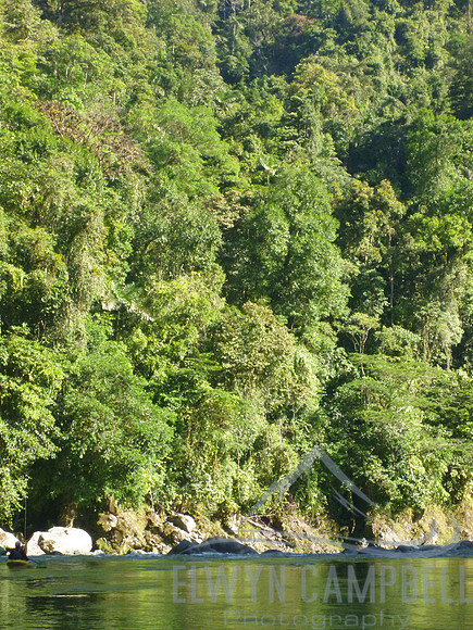 Rafting