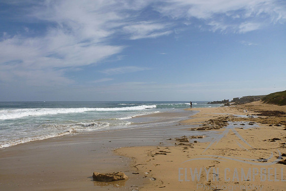 West side of Penguin Island