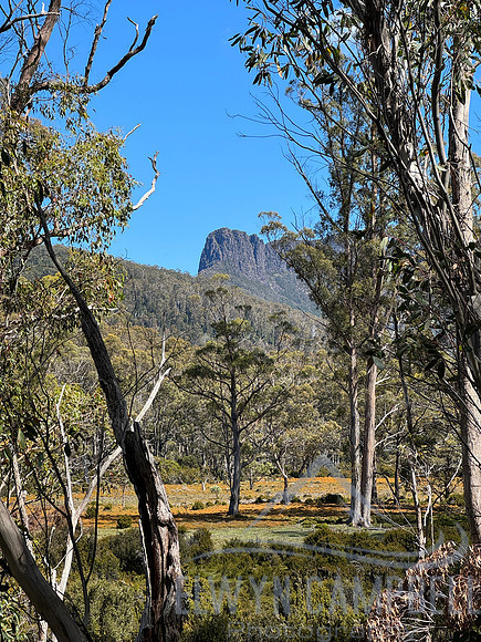 Overland Track