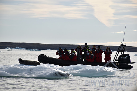Jökulsárlón Glacier Lagoon