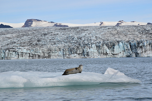 Jökulsárlón Glacier Lagoon
