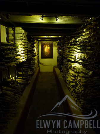 Chilean vineyard