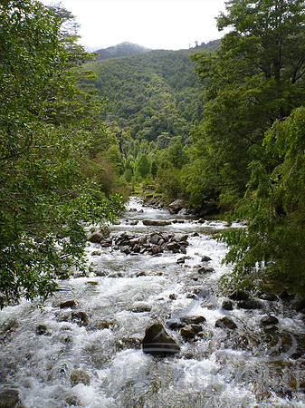 Walking in the Huerquehue National Park