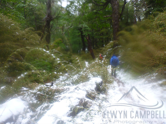 Walking in the Huerquehue National Park