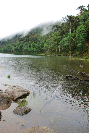 Walking in the Huerquehue National Park