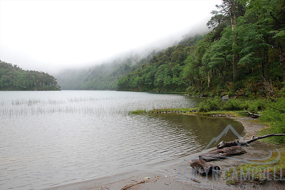 Walking in the Huerquehue National Park