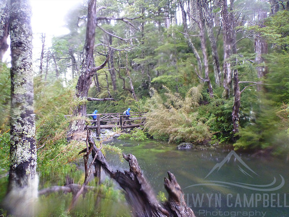 Walking in the Huerquehue National Park