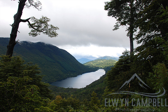 Walking in the Huerquehue National Park