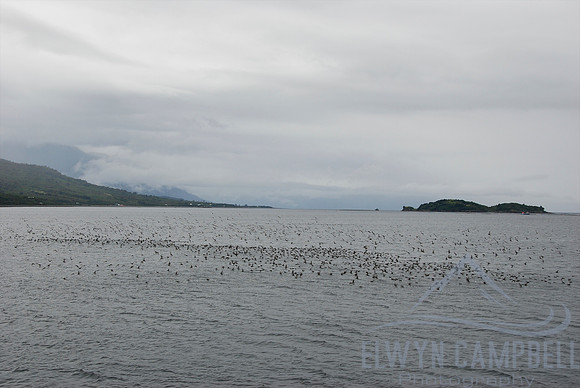 Puerto Montt ferry crossing