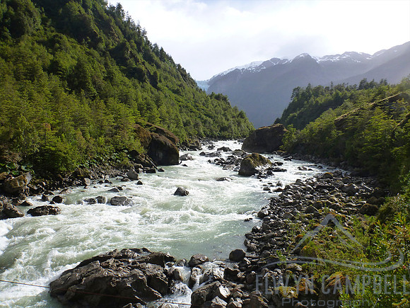 Queulat National Park
