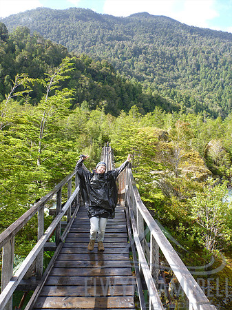 Queulat National Park