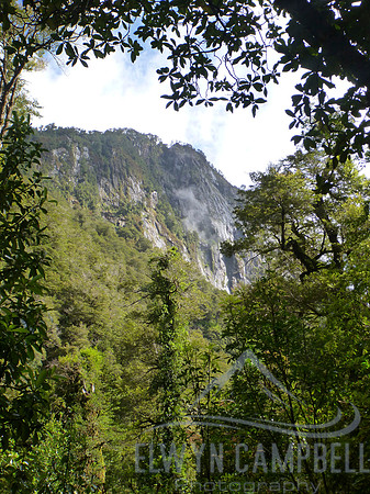 Queulat National Park