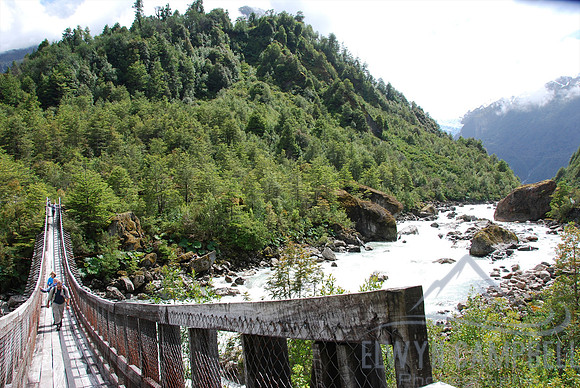 Queulat National Park