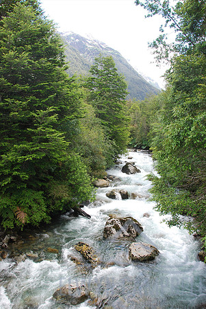 Queulat National Park