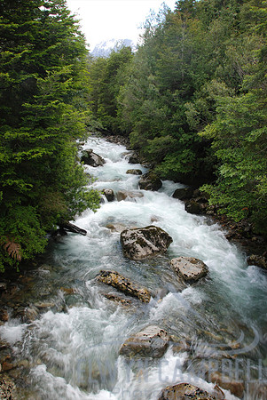 Queulat National Park