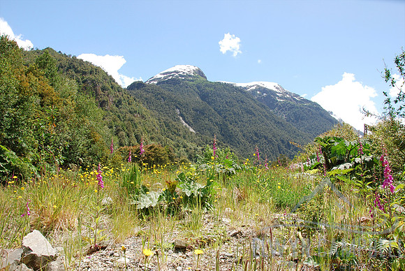 Queulat National Park