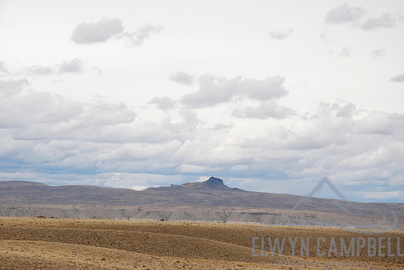Crossing argentinian plains