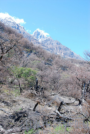 Torres del Paine National Park