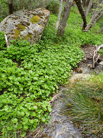 Torres del Paine National Park