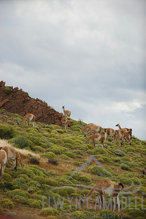 Torres del Paine National Park