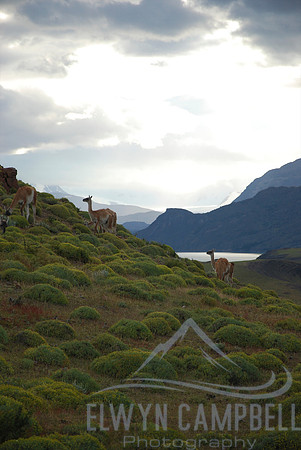 Torres del Paine National Park