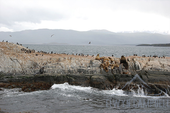 Beagle Channel, Tierra del Fuego
