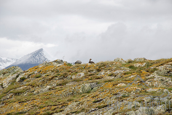 Beagle Channel, Tierra del Fuego