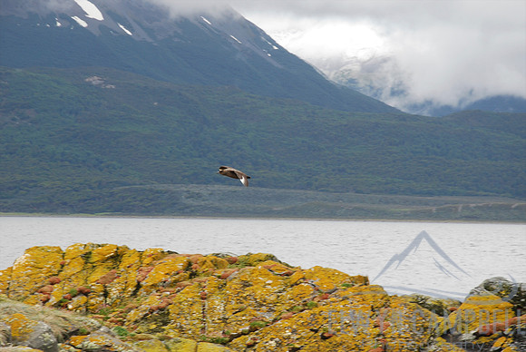 Beagle Channel, Tierra del Fuego
