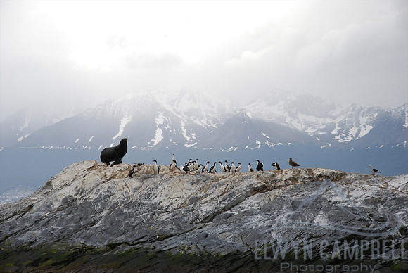 Beagle Channel, Tierra del Fuego