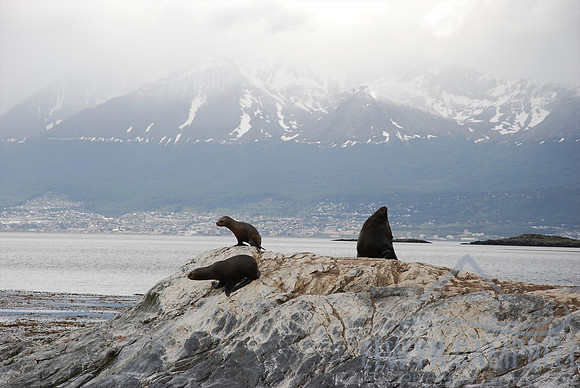 Beagle Channel, Tierra del Fuego