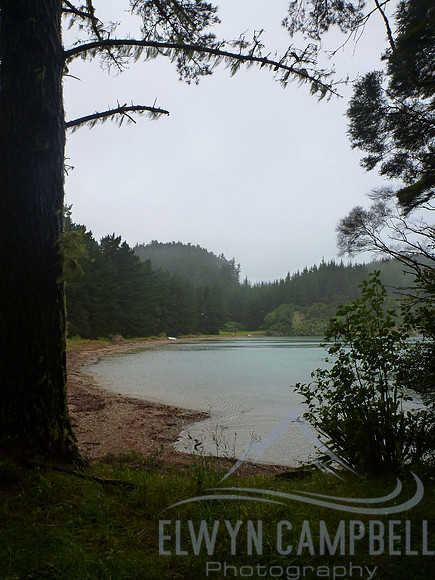 Omakiwi Cove