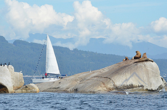 Seal Island