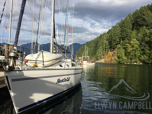 Snug Cove