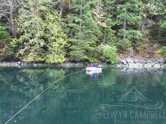 Roscoe Bay, Desolation Sound