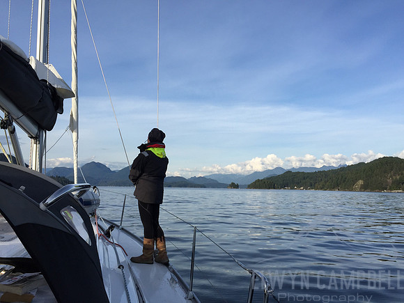 Towards Gibsons
