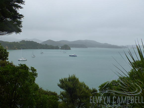 Omakiwi Cove