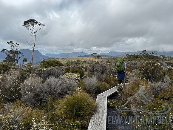 Overland Track