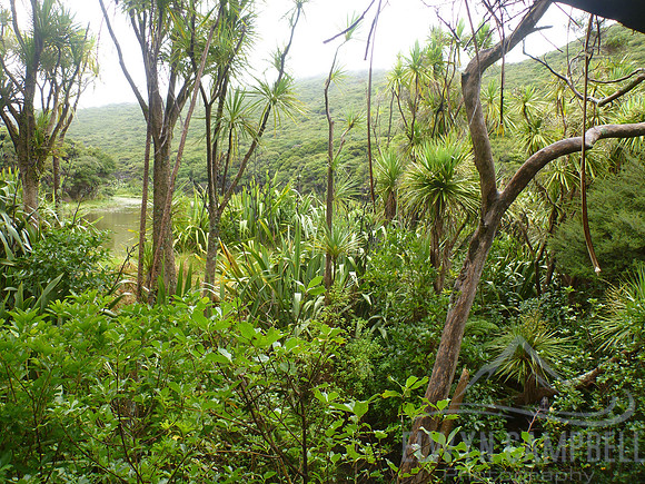 Urapukapuka Island