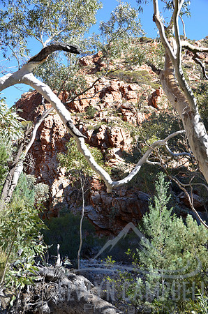 Hugh Gorge