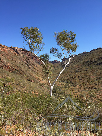 Hugh Gorge