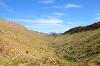 Larapinta Trail