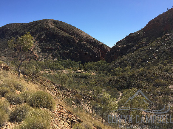 Ellery Creek