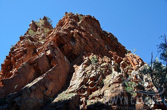 Serpentine Gorge