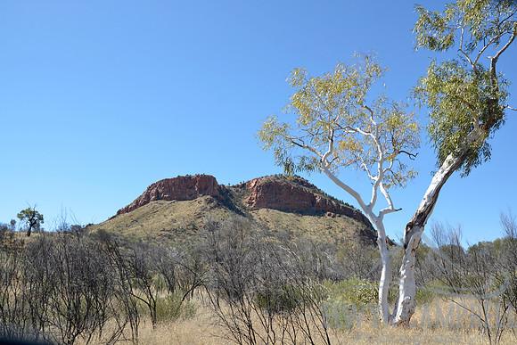 Arenge Bluff