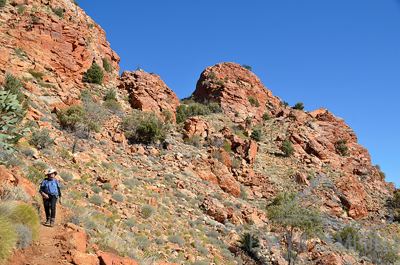 Descending Brinkley Bluff