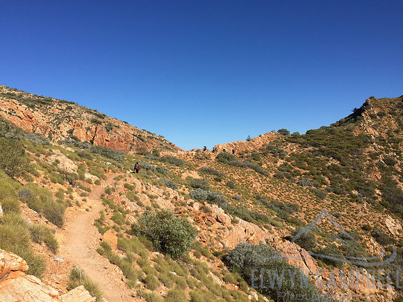 Climbing Brinkley Bluff